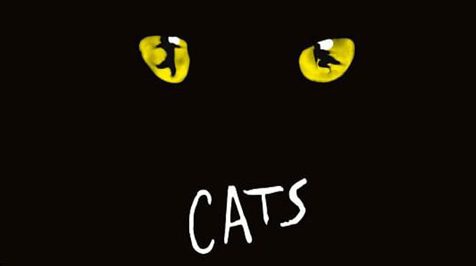 Zusatztermin Für Cats!