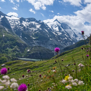 Glockner Wallfahrt