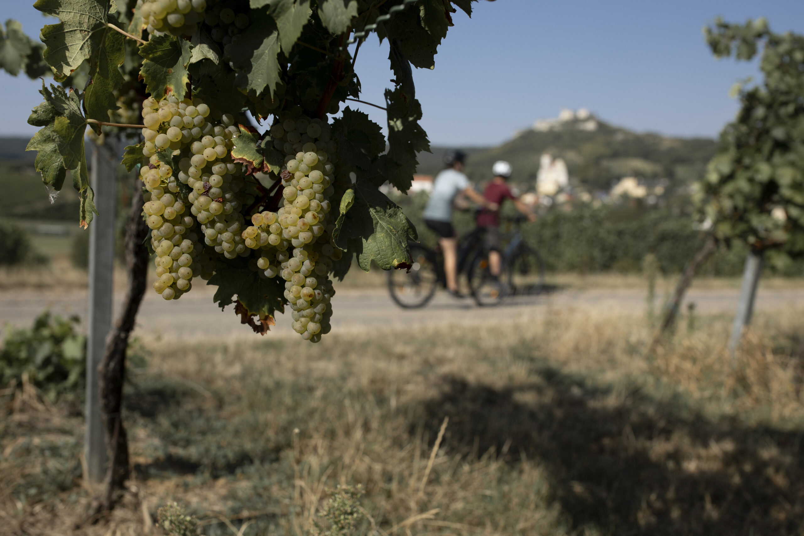 Aufsteigen & Genießen | E-Bike Tage im Weinviertel – Bild 1