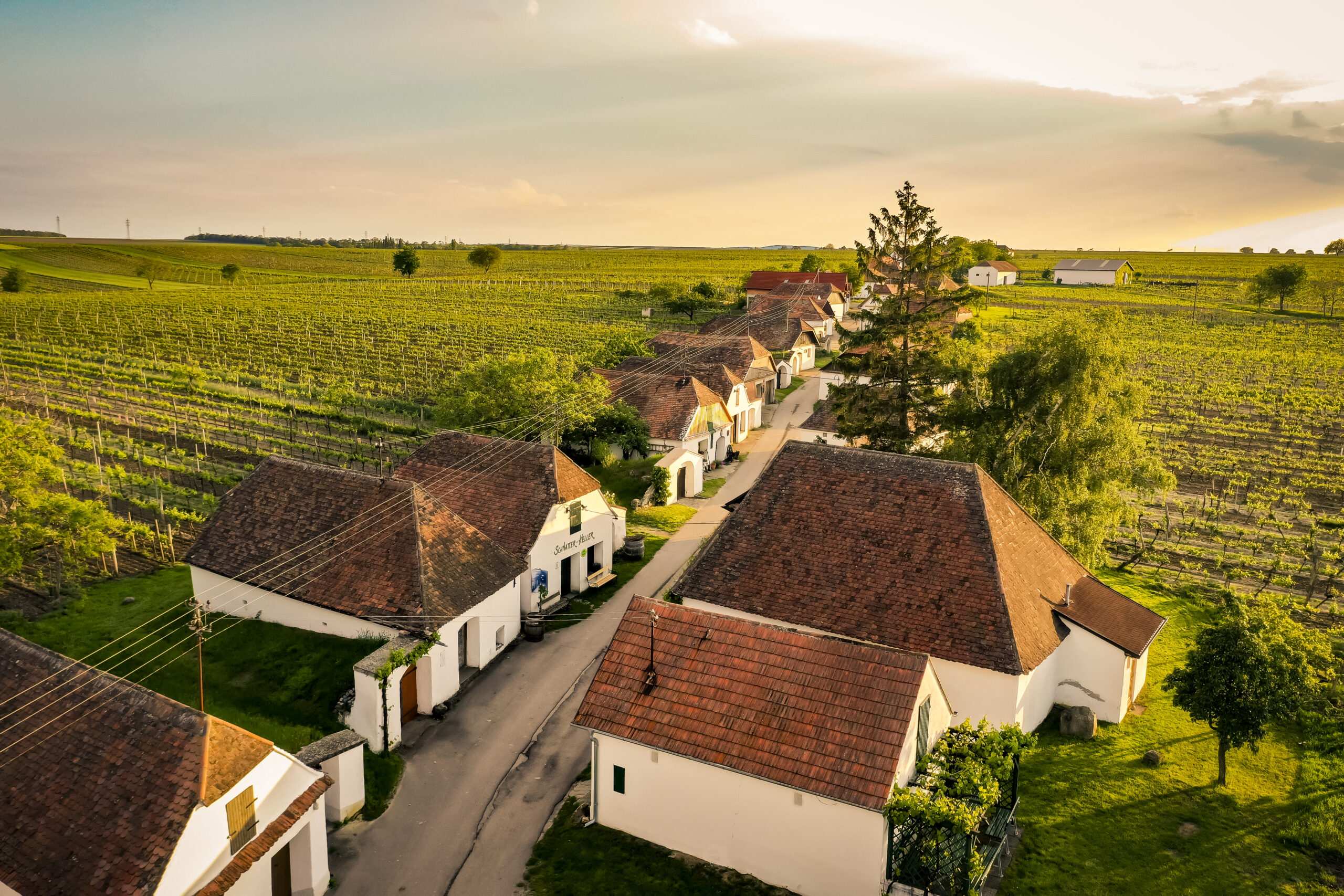 Aufsteigen & Genießen | E-Bike Tage im Weinviertel – Bild 3